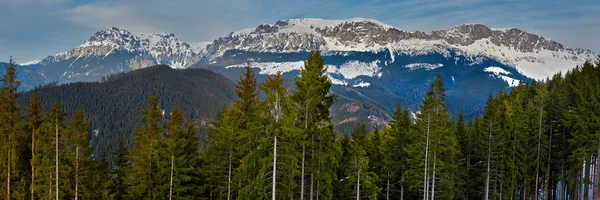 Bucegi mountains in Romania — Stock Photo, Image