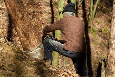 Elektrikli testere ile iş yerinde eski oduncu