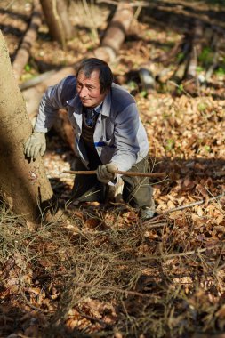 Eski beyaz oduncu ormanda taşıma