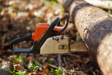 Bir ağaç sıkışmış Chainsaw