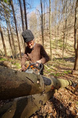 Elektrikli testere ile iş yerinde eski oduncu