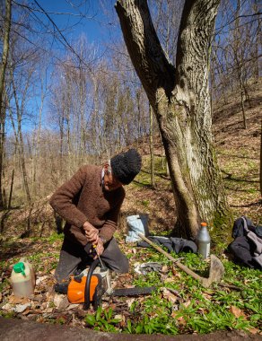 Elektrikli testere ile üst düzey oduncu