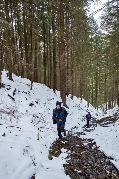 Mutter und Sohn wandern durch Wald — Stockfoto