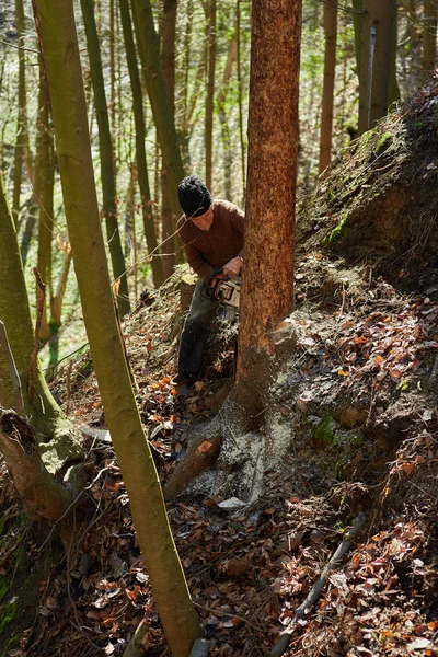 Old woodcutter at work with chainsaw — Stock Photo, Image