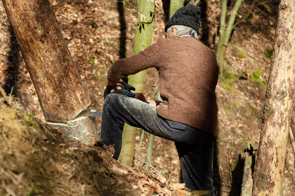 Oude houthakker op het werk met chainsaw — Stockfoto