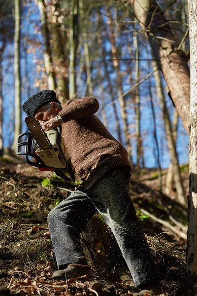 Hombre mayor con motosierra en un bosque — Foto de Stock