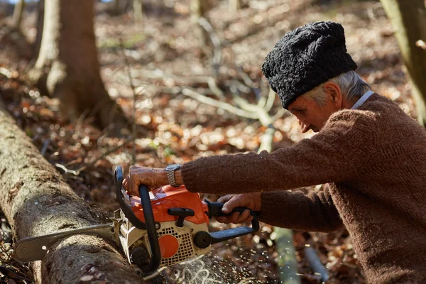 Oude houthakker op het werk met chainsaw — Stockfoto