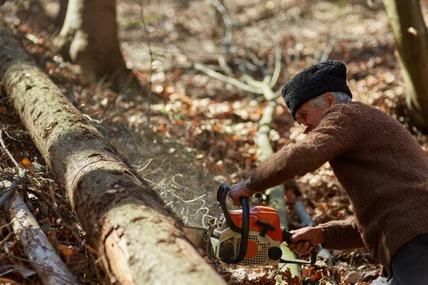 Alter Holzfäller mit Kettensäge am Werk — Stockfoto