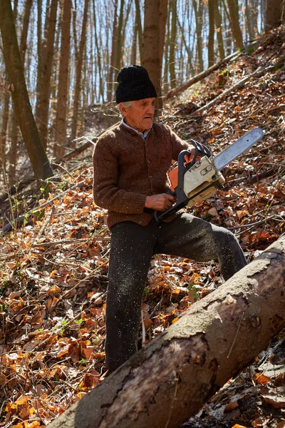 Oude houthakker op het werk met chainsaw — Stockfoto