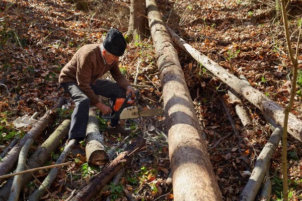 Gammal skogshuggare i arbetet med motorsåg — Stockfoto