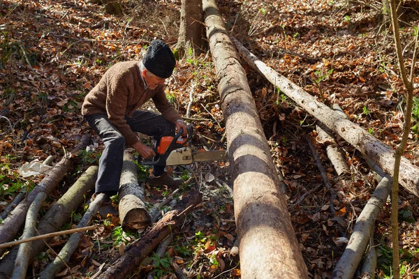 Alter Holzfäller mit Kettensäge am Werk — Stockfoto