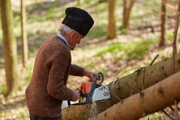 Vecchio taglialegna al lavoro con motosega — Foto Stock