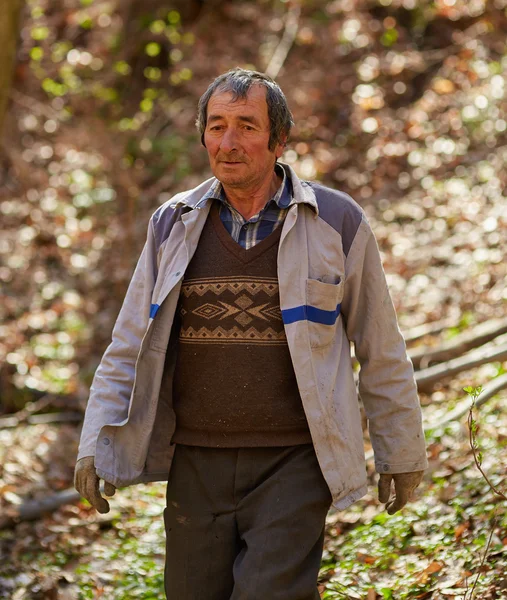 Old caucasian woodcutter moving in the forest — Stock Photo, Image