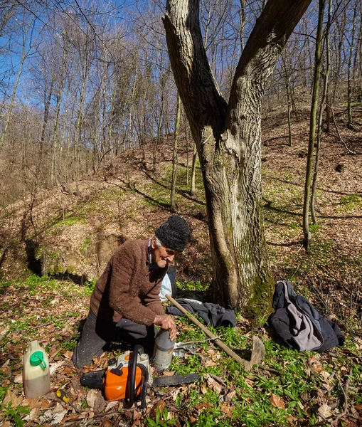 Senior-Holzfäller mit Kettensäge — Stockfoto