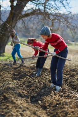 İnsanlar patates Ekim
