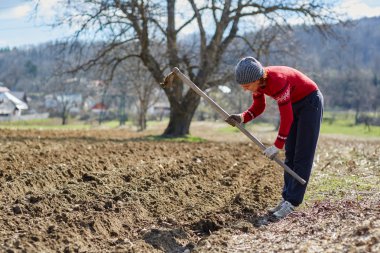 Patates yumrular Ekim kadın