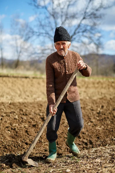 Hombre mayor sembrando tubérculos de patata — Foto de Stock