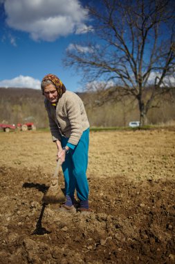 Üst düzey kadın patates Ekim