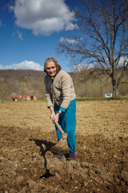 Üst düzey kadın patates Ekim