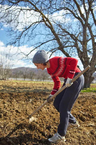 Kaukasisk kvinna med en hacka sådd potatis — Stockfoto