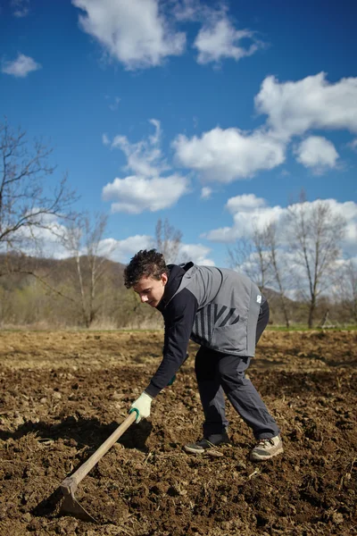 Tiener jongen met een schoffel zaaien aardappelen — Stockfoto