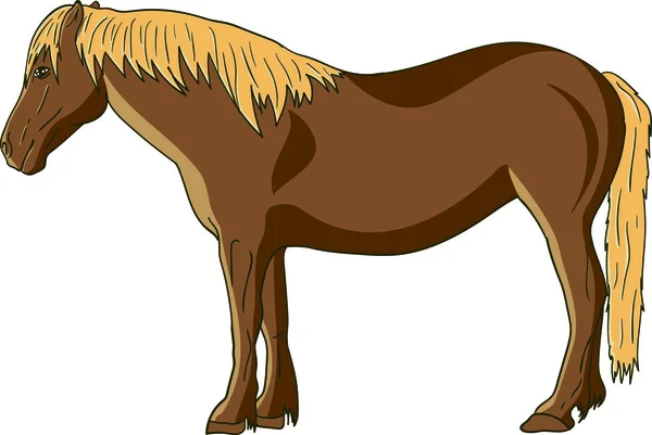 Vector caballo puro pan — Vector de stock