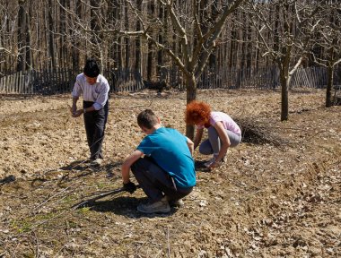 Aile temizlik dalları orchard--dan kesmek
