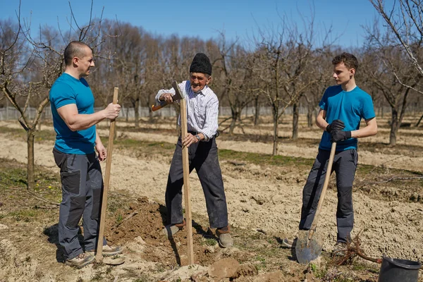 Tres generaciones de familia plantando un árbol juntos — Foto de Stock