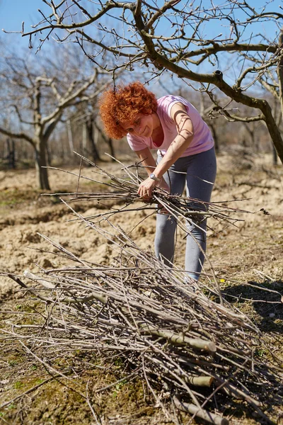 Woman spring cleaning the orchard — Stock Photo, Image