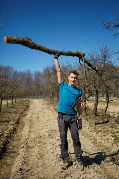 Silné teenager zvyšovat kmen stromu v sadu — Stock fotografie