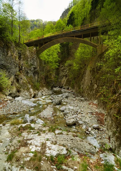 Γέφυρα στο φαράγγι — Φωτογραφία Αρχείου