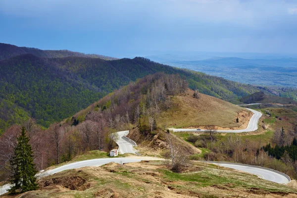 Dağ yolu o bahar — Stok fotoğraf