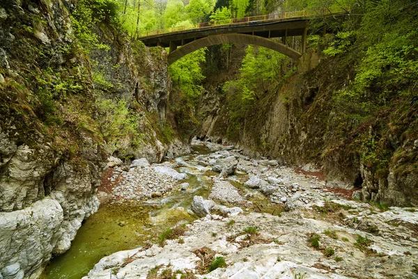 Bridge in the canyon — Stock Photo, Image