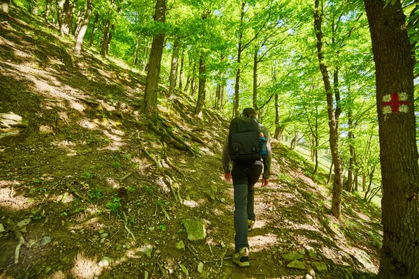 Teenager hiker walking on a mountain trail — Stock Photo, Image