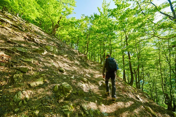Tinédzser természetjáró gyaloglás-ra egy hegyi ösvény — Stock Fotó
