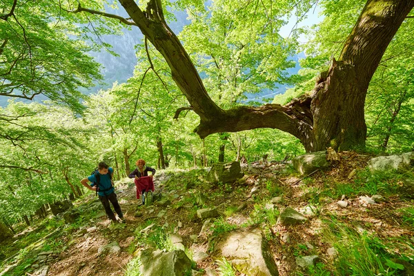 Family of hikers walking on a mountain trail — Stock Photo, Image