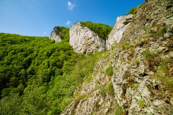 Гірський пейзаж у весняний час — стокове фото