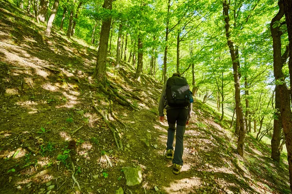 Έφηβος πεζοπόρος περπάτημα στο ορεινό μονοπάτι Royalty Free Εικόνες Αρχείου