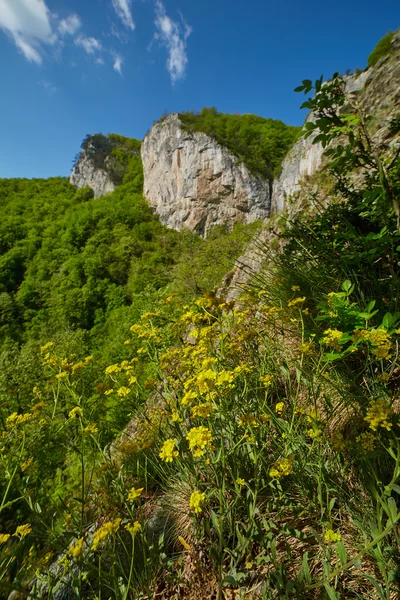 Гірський пейзаж у весняний час — стокове фото