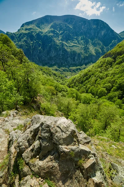 Paesaggio montano in primavera — Foto Stock