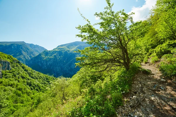 Horská krajina na jaro — Stock fotografie