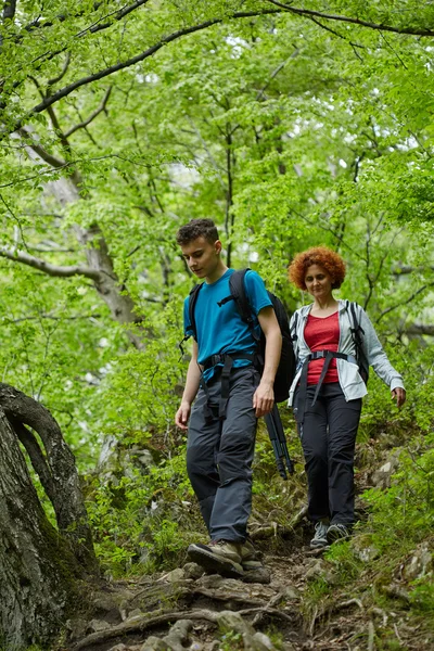 Familj av vandrare vandring på en skogsstig — Stockfoto