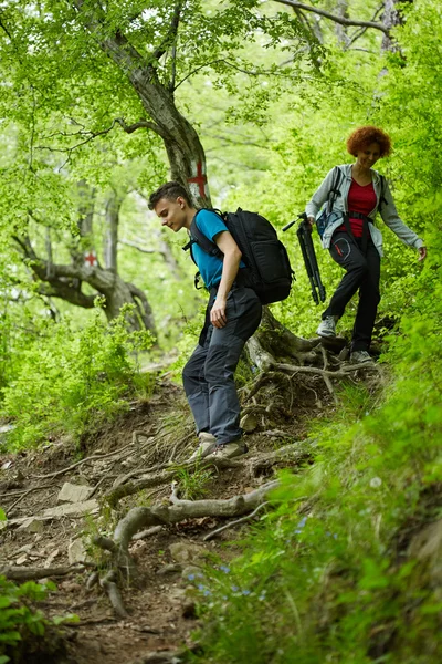 Familj av vandrare vandring på en skogsstig — Stockfoto