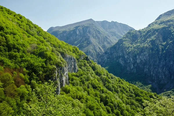 아름다운 산 풍경 — 스톡 사진
