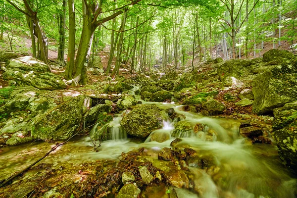 River flowing through rocks — Stock Photo, Image