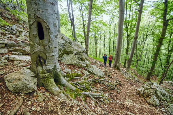 Family of hikers on mountain trail — Stock Photo, Image