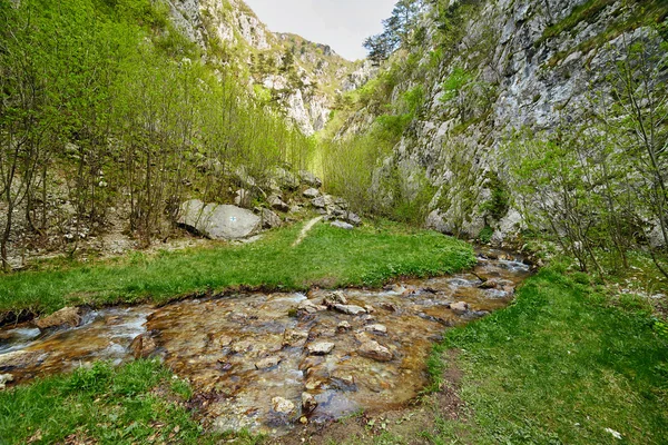 Elven renner gjennom canyon – stockfoto