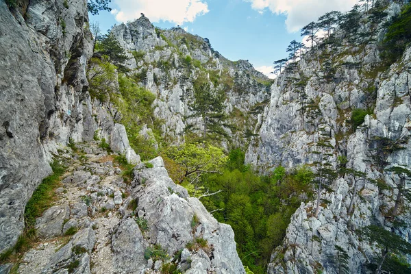 A hegyekben sziklás ösvényen — Stock Fotó