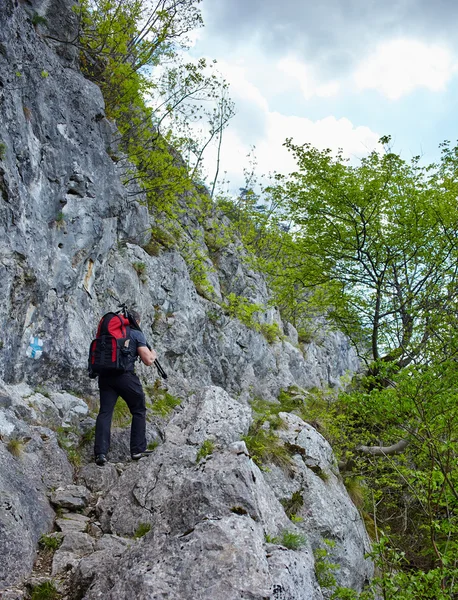 Wandelaar man lopen naar een rotsachtige hoogteweg — Stockfoto
