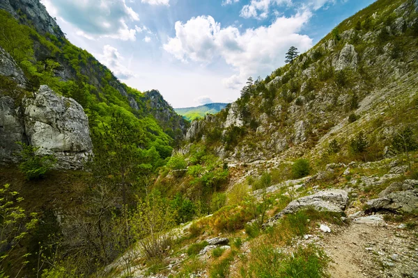 Horská krajina na jaro — Stock fotografie